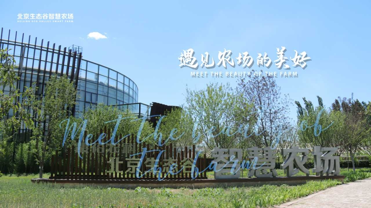 北京團建活動(dòng)